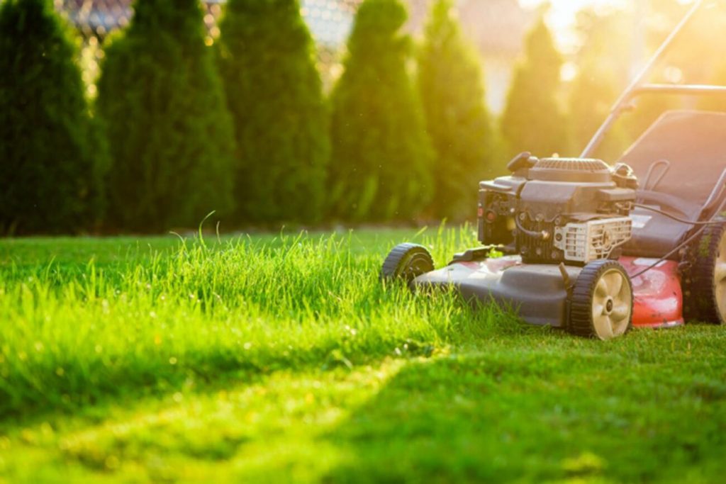The following Are Some Tips On How To Find A Good Lawn Care Company: